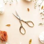 DMC Peacock Embroidery Scissors