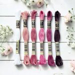 "BABARÓZSA" 6-db-os csomag