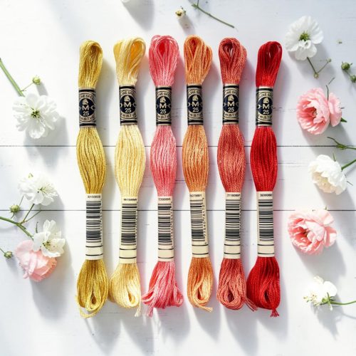 "NAPLEMENTE" 6-db-os csomag