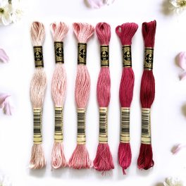 DMC Floss Bundle (6 skeins)