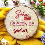 "SOHA NEM FEJEZEK BE SEMMIT" felirat