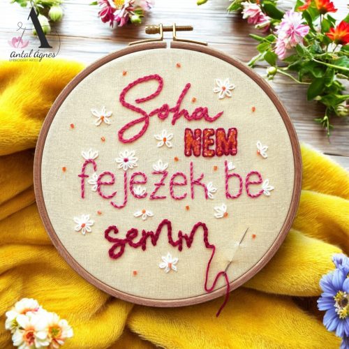 "SOHA NEM FEJEZEK BE SEMMIT" felirat